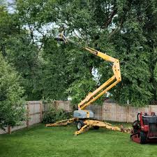 Best Tree Mulching  in Hawaiian Gardens, CA